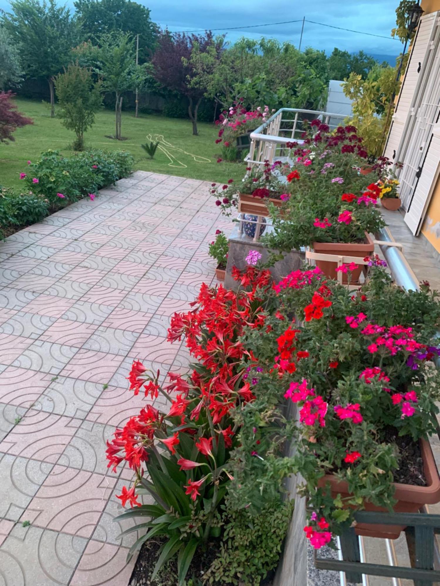 Hotel Villa Linda Shkoder Exterior photo